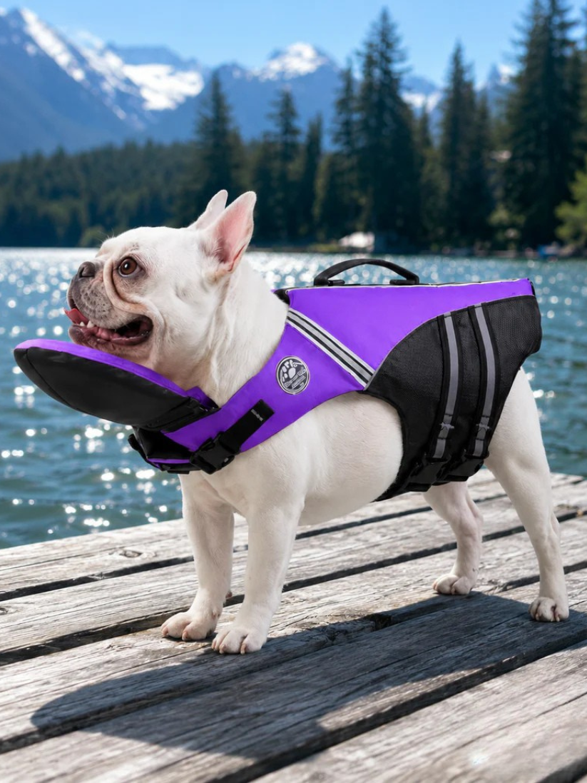 SplashPaws - Dog Life Jacket - With Chin Support